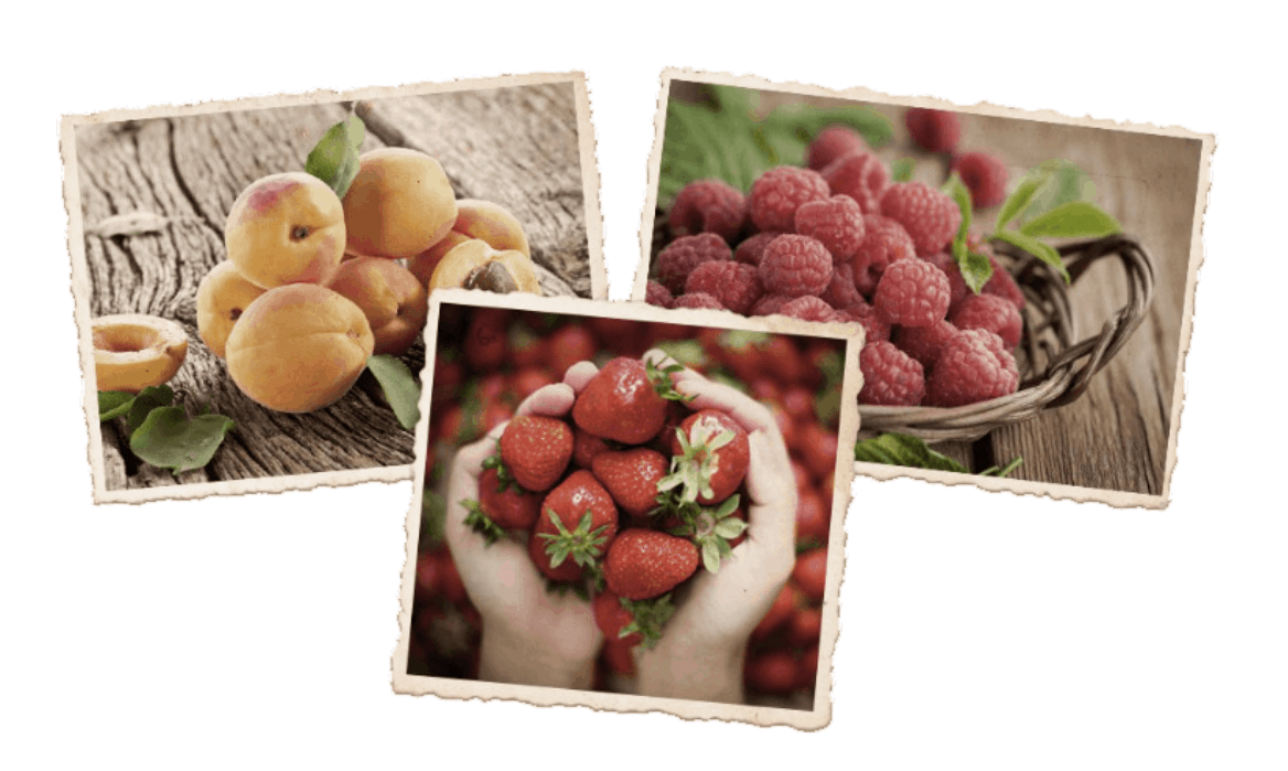 D'arbo遵循最傳統的果醬做法，使用新鮮水果為原料，製作出含果量高達70%的果醬