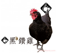 【KAWA 巧活】黑鑽雞-精緻全雞( 1.8kg/隻)