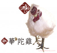 【KAWA 巧活】華陀雞-分享全雞( 1.9kg/隻)