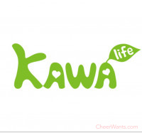 【KAWA 巧活】特製椒麻雞腿排 (480g/包,內含2支入)