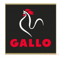 【Gallo】西班牙公雞-字母造型麵(250g/包)2包裝