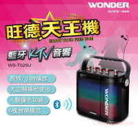 【WONDER 旺德】天王機藍牙KTV音響 (WS-T025U)