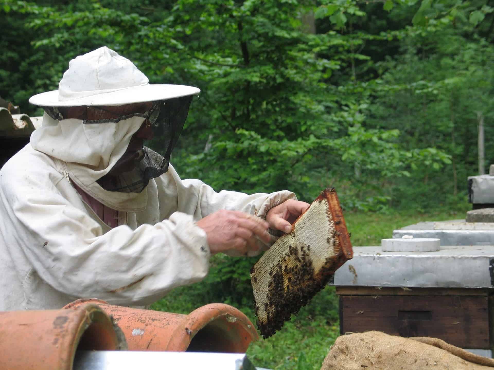 《嘟嘟家蜂蜜》100%台灣天然蜂蜜．天然完熟蜂蜜含豐富酵素